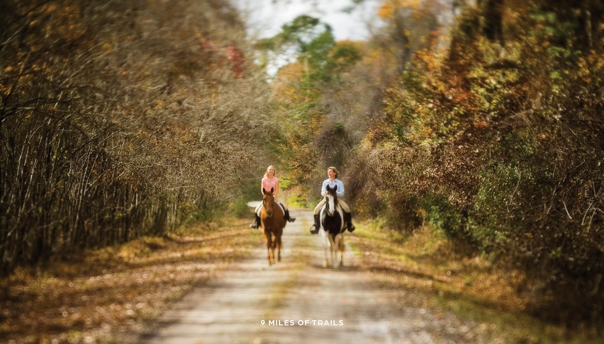 nine miles of trails