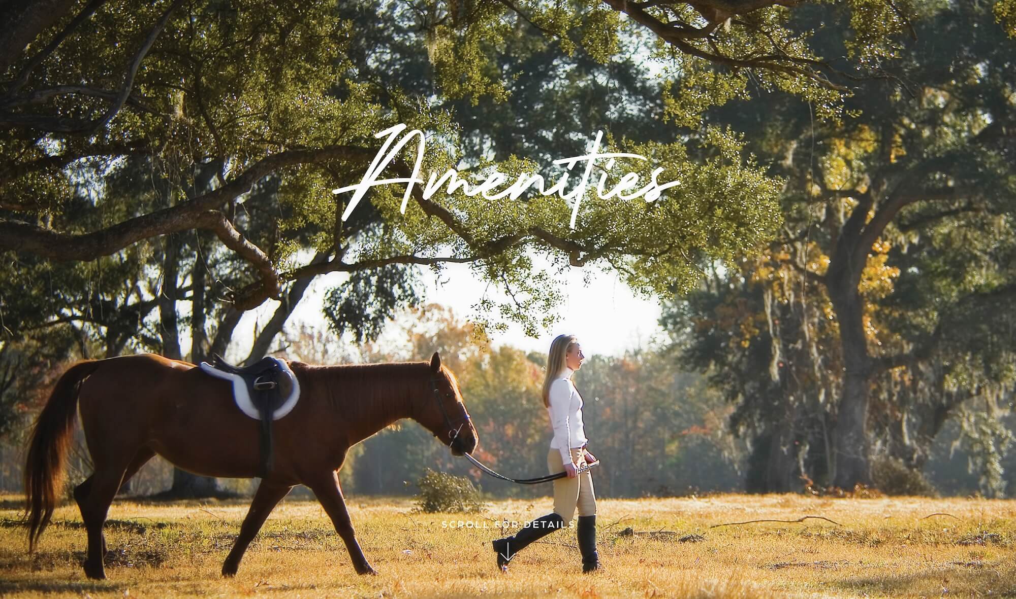 amenities