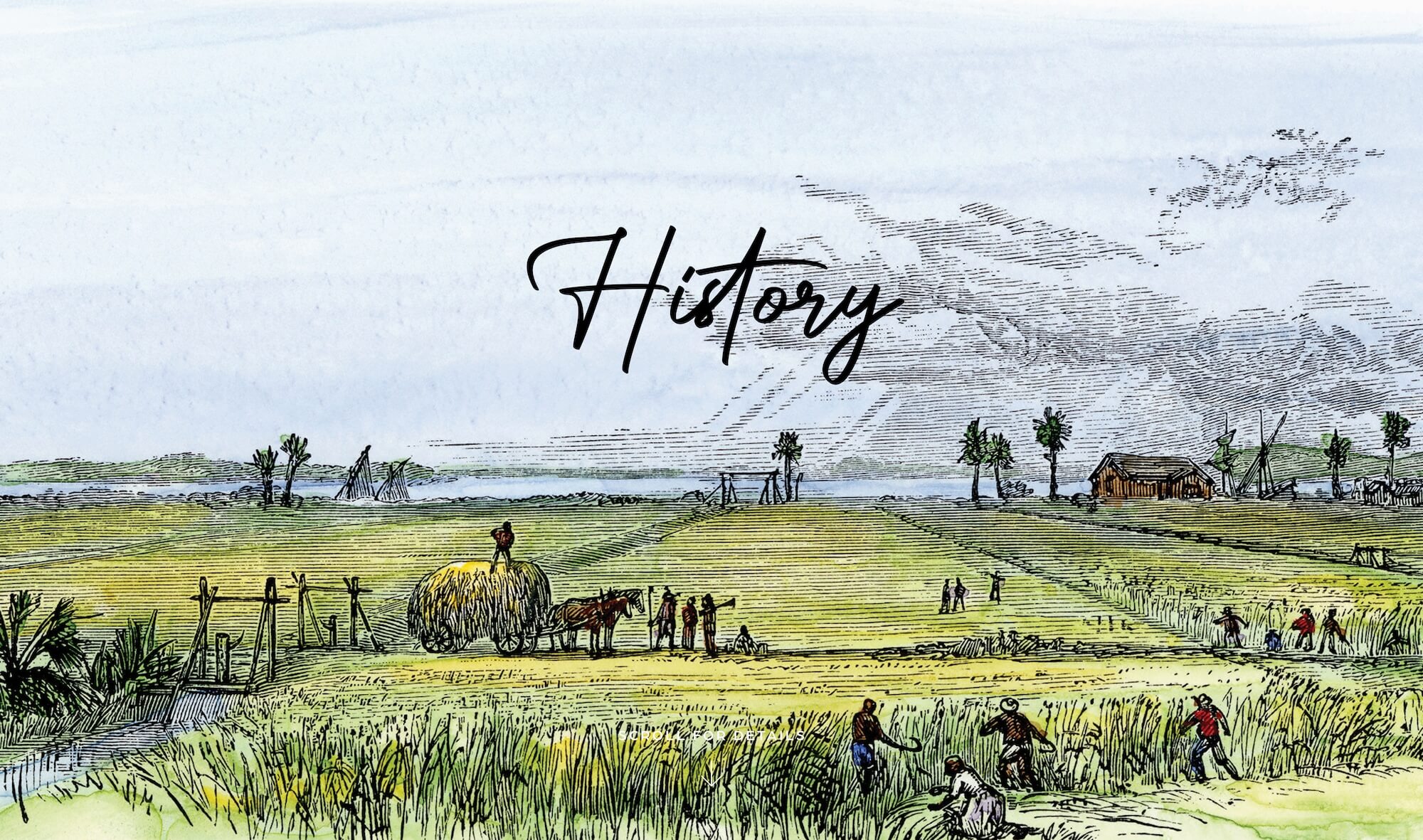 history of Poplar Grove in Charleston SC